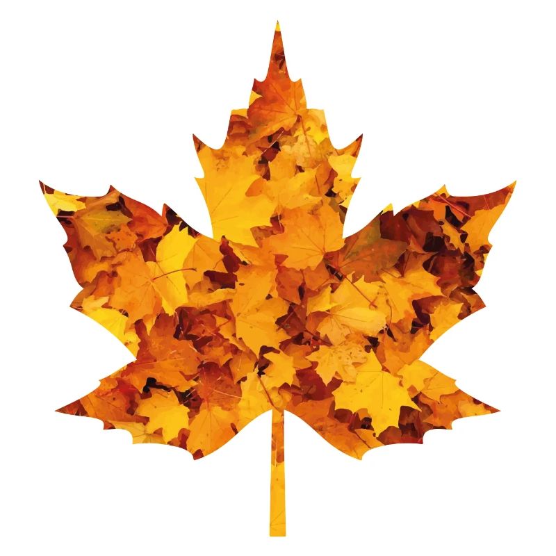 Maple leaf