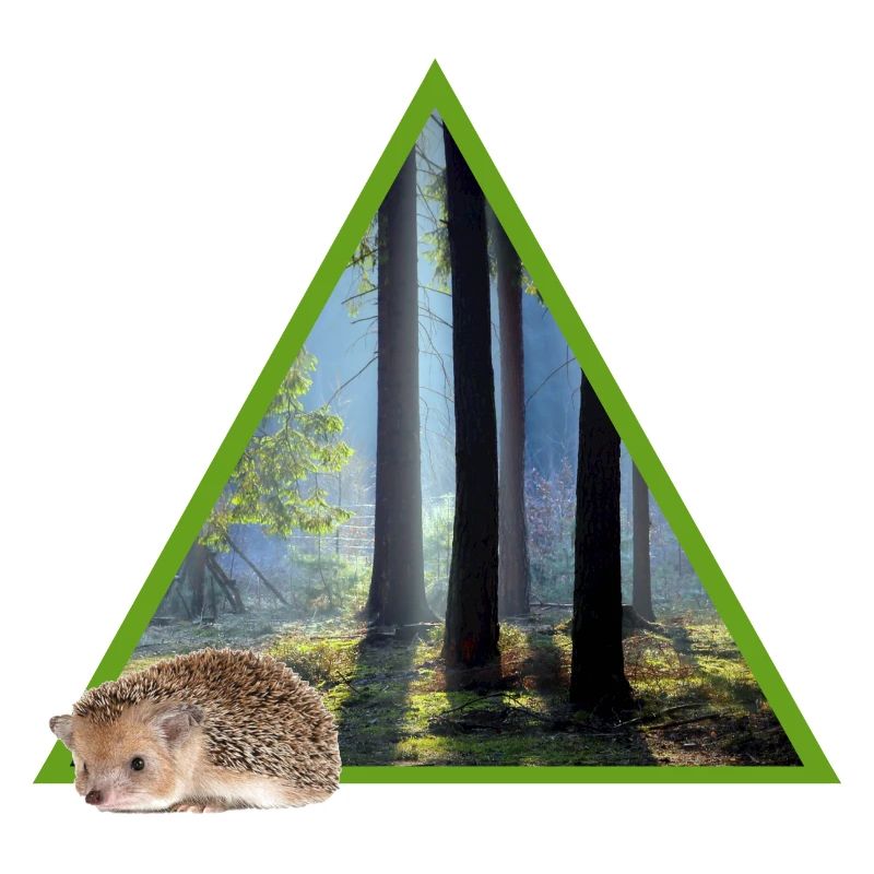 wald 52 mit igel