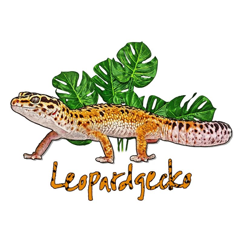 Leopardengecko