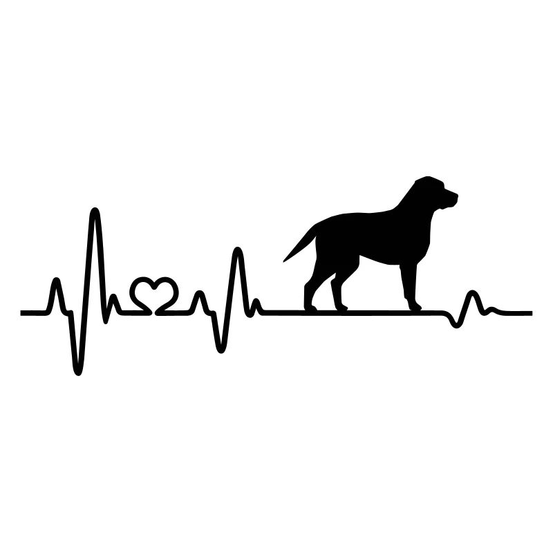 Labrador Herzfrequenz Herzschlag Pulsschlag Liebe