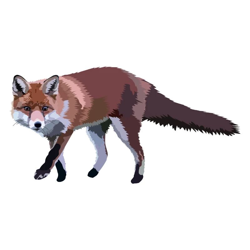 Fuchs