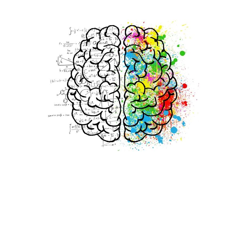 Kreative oder logich im Gehirn