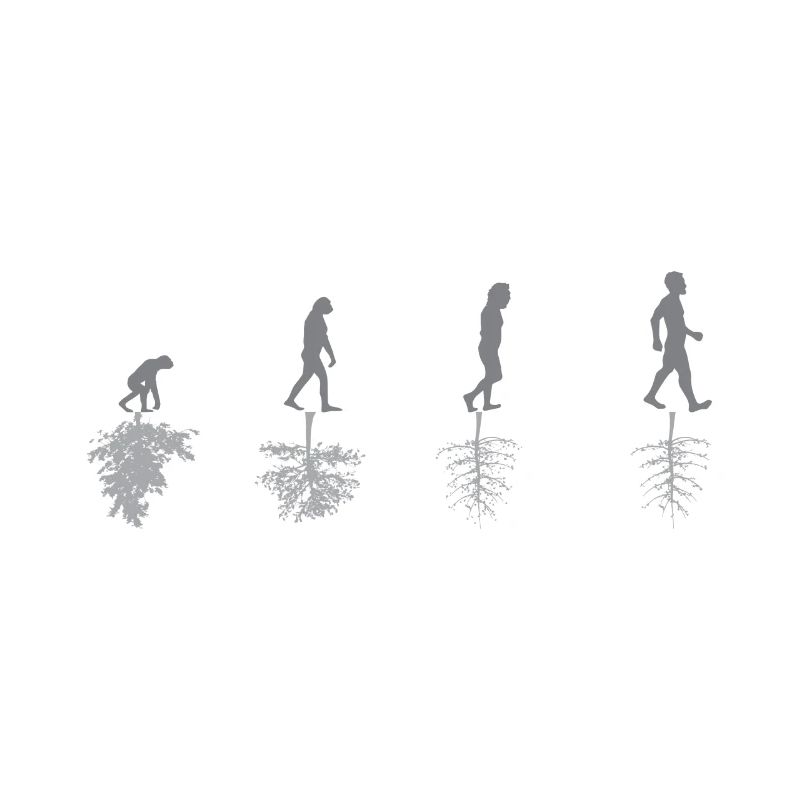 Evolution - Umwelt - Sarkasmus - Natur - Geschenk