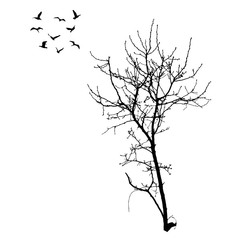 Tree Forest Tree of Life Gift Spiritual Trees