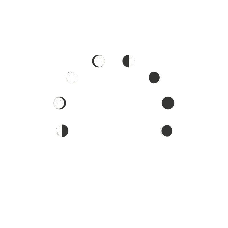 Funny Lunar Eclipse Moon Phase Moon Lovers gift