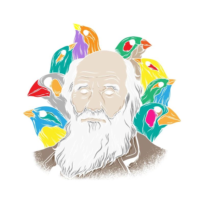 Charles Darwin Portrait Gift Evolution