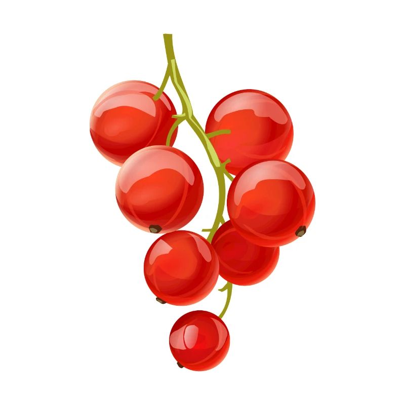 Ribisel Beeren Obst Frucht
