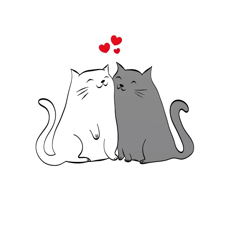 Katzen