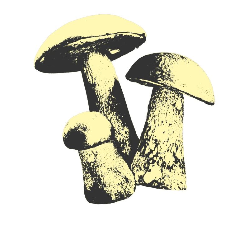 Weinlese-Pilz