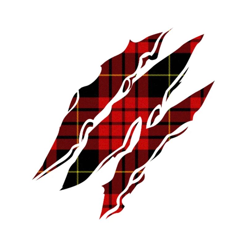 Bulkhead pattern under the torn T-shirt