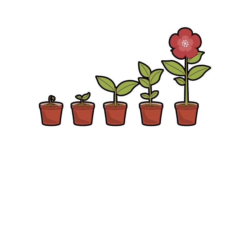 Evolution einer Blumen im Topf blühend