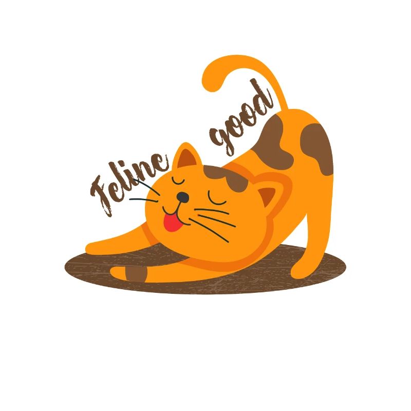 Katze