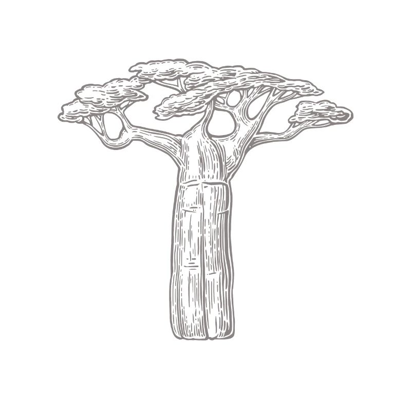 baobab trees lover gift Africa Graphic