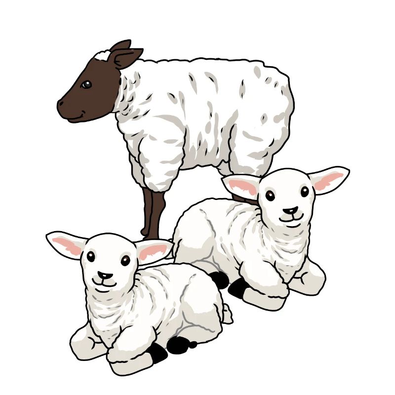 Sheep Sheep Ungulates Lamb Easter Mutton Herd