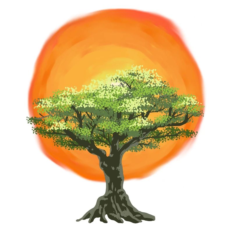 Olive Tree Sunrise Sun Tree Nature