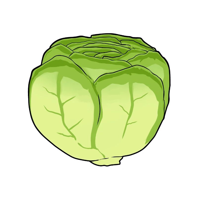 Lettuce Salad Cabbage Cabbage Head Vegetable Kitchen