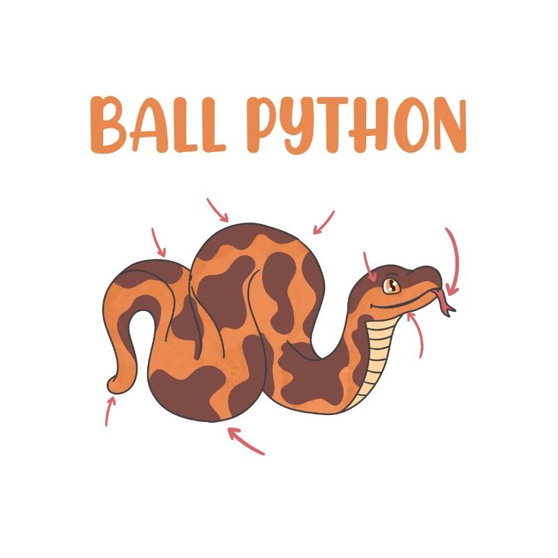 Schlangen Anotomie einer Königspython Ball Python