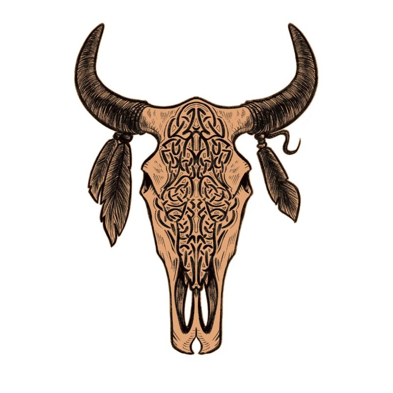 Bullenschädel