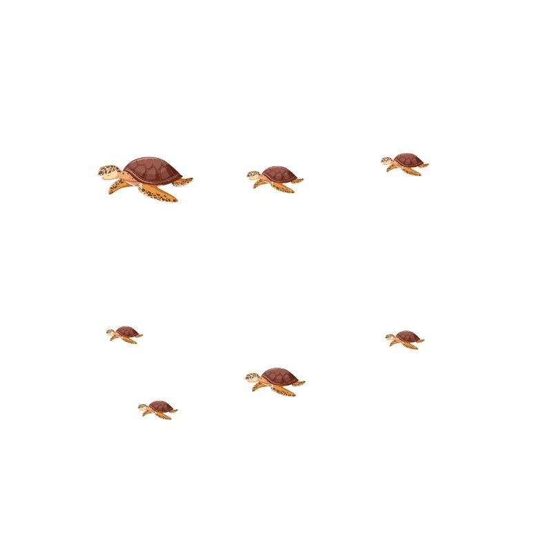Ce que je fais de mon temps libre tortue