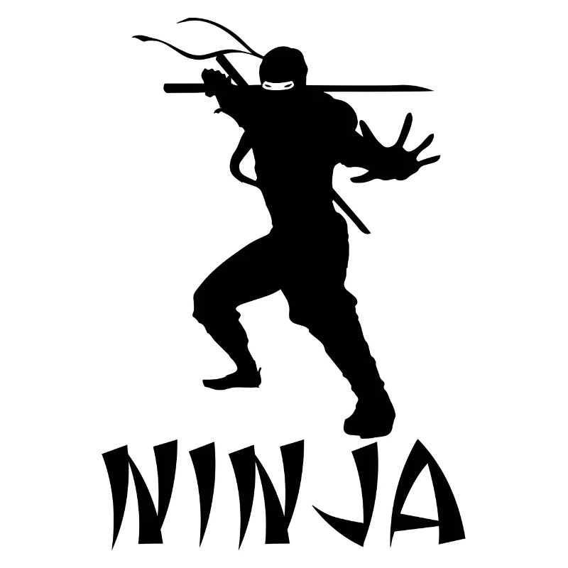 ninja noir cool