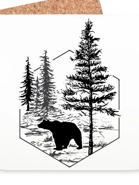 Bär in der Natur