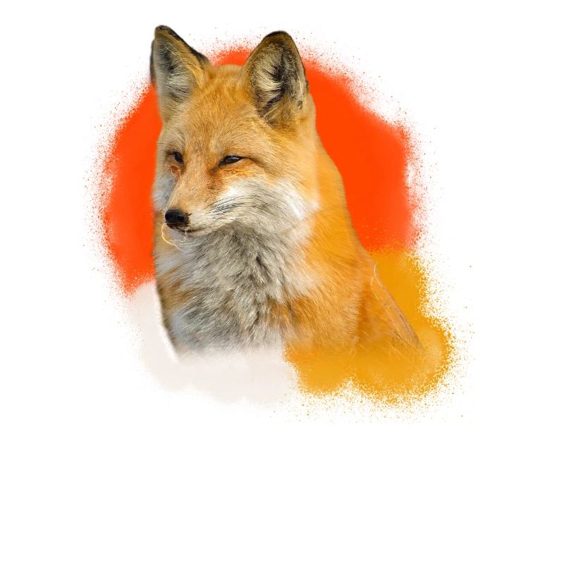 Fox foxes illustration design animal gift