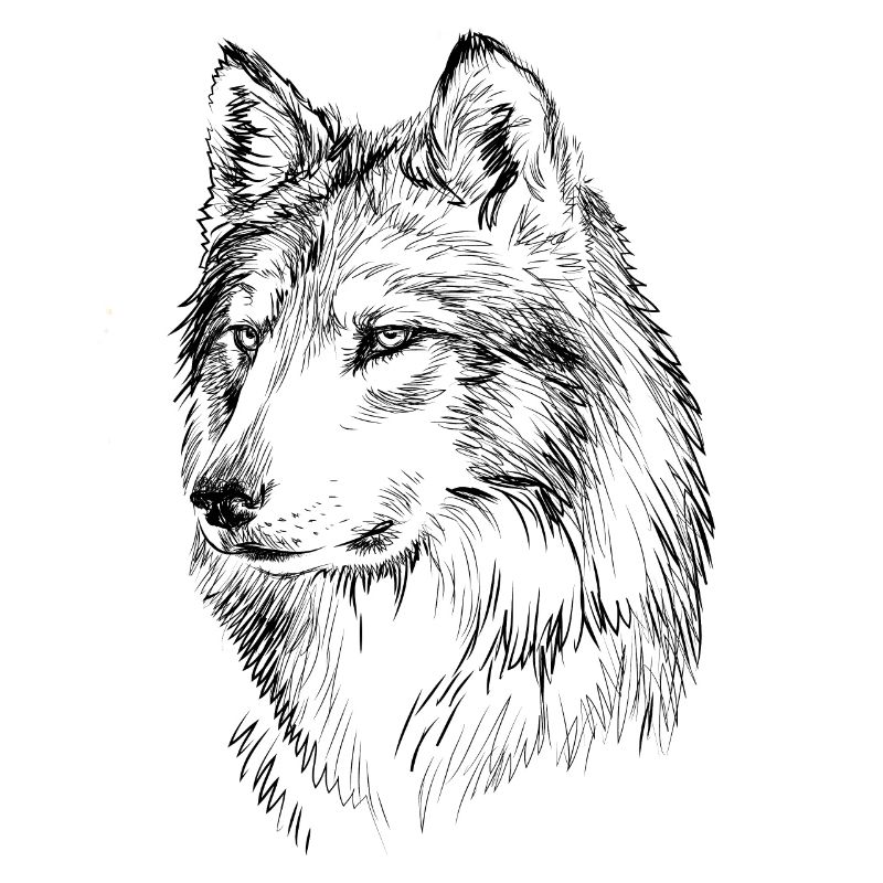 Wolf Geschenk