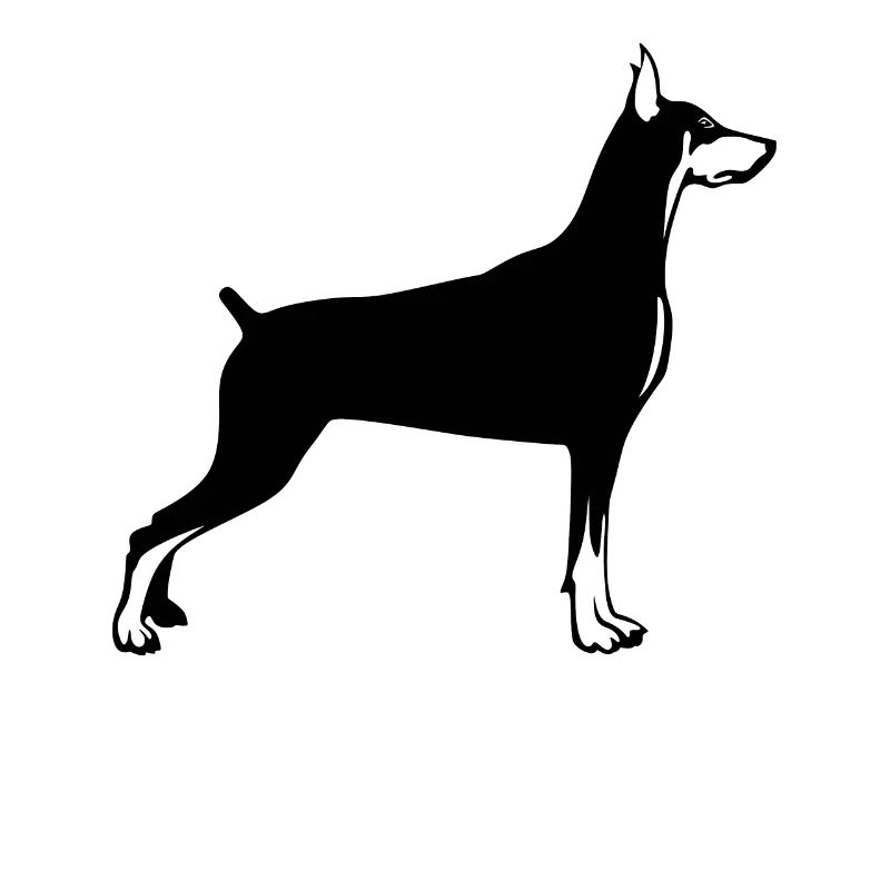 Dobermann Hund