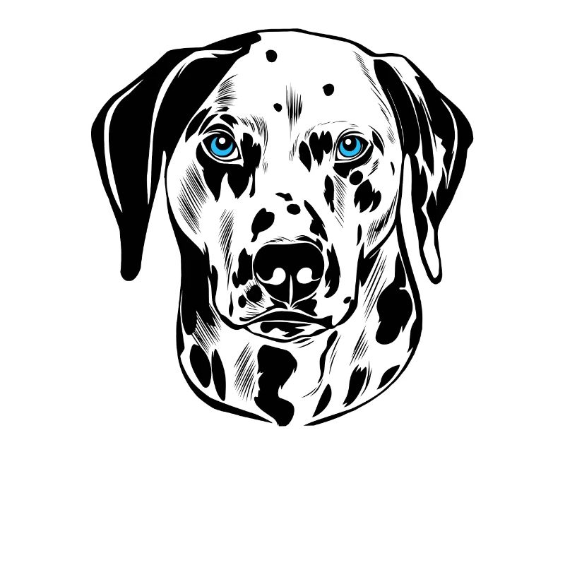 Dalmatiner Hund