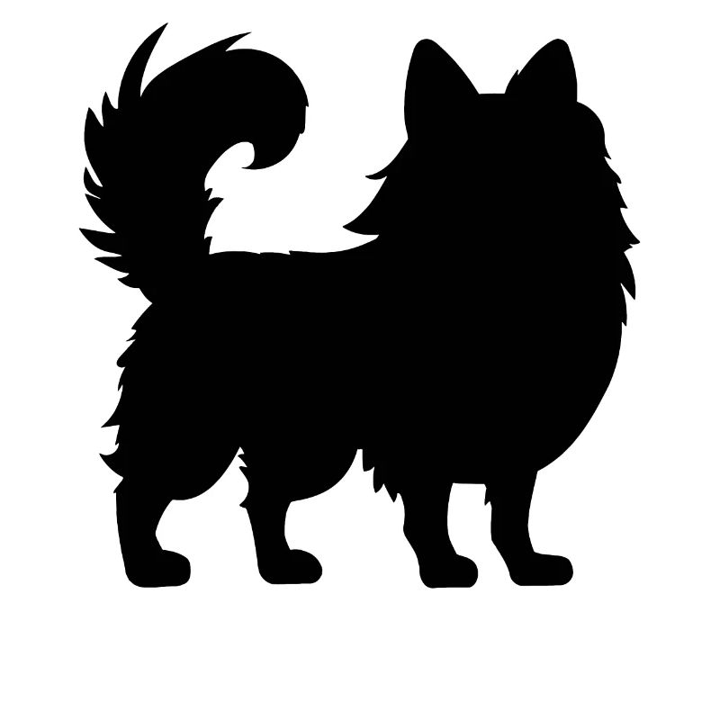 Pomeranian Zwergspitz
