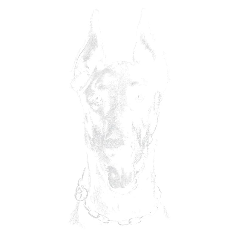 Dobermann