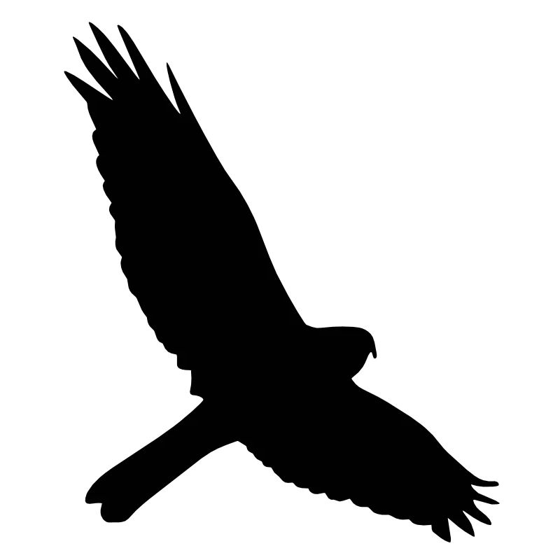 Falke