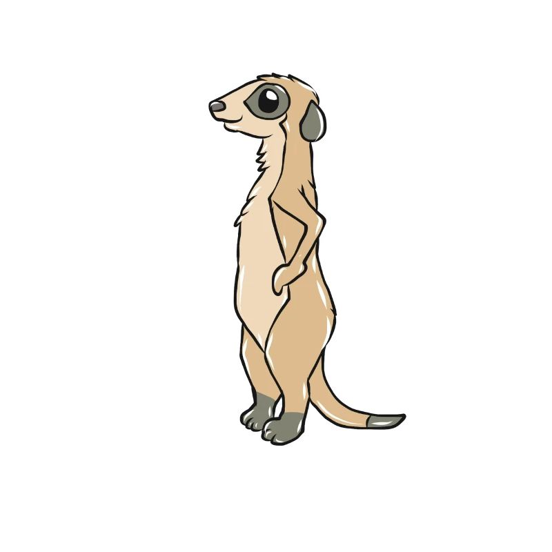 Erdmännchen