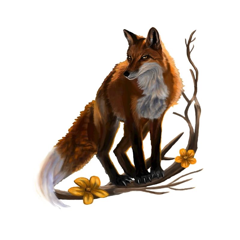 fox