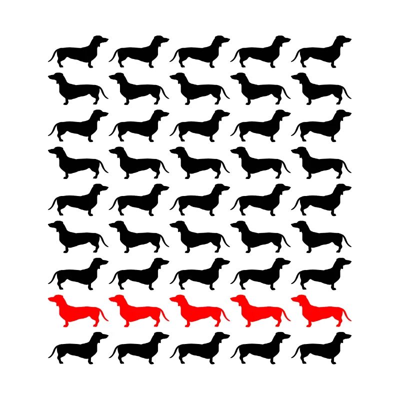 Dackel Dachshund Teckel