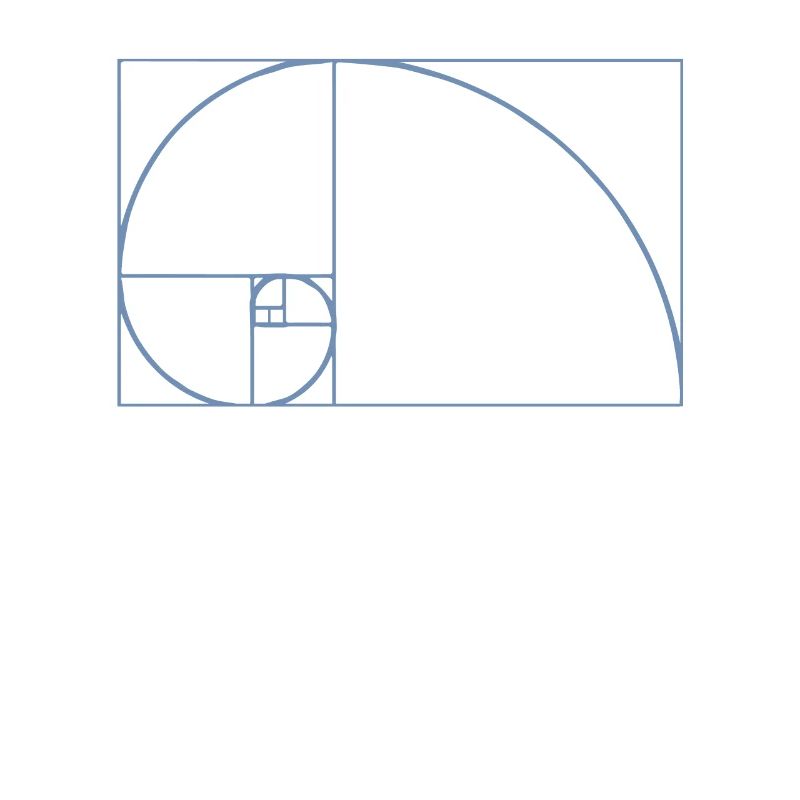 Fibonacci Tshirt