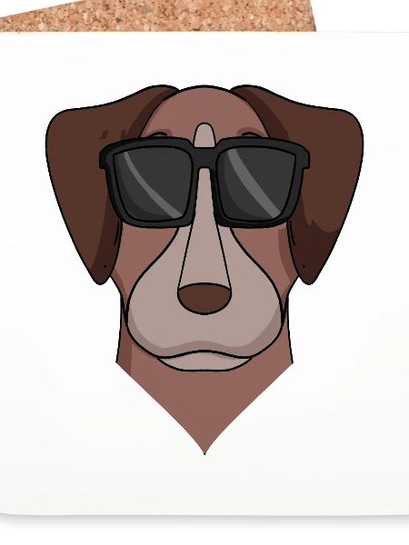 Pointer Hund Hunderasse