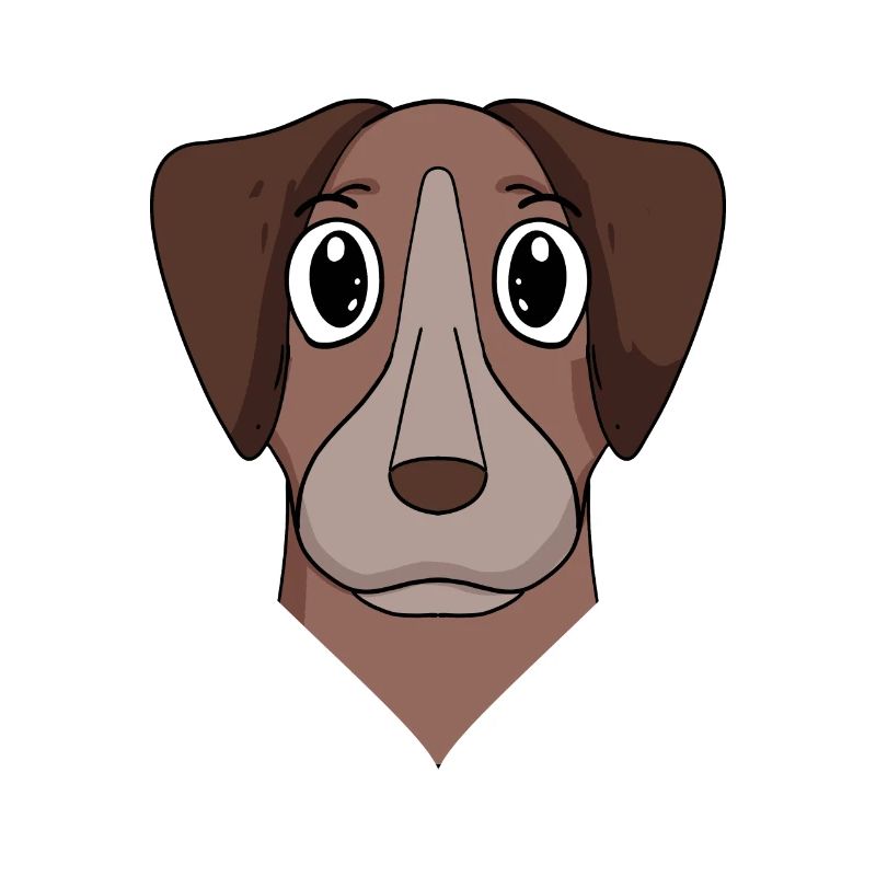 Pointer Hund Hunderasse