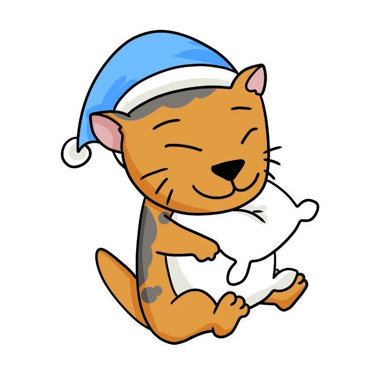 Cat Cat Breed Scottish Folding Ear Cat