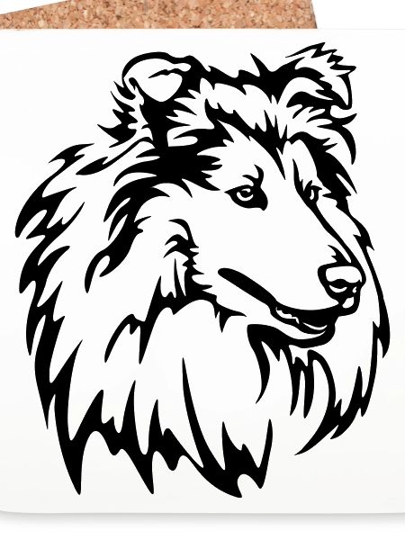Collie Head