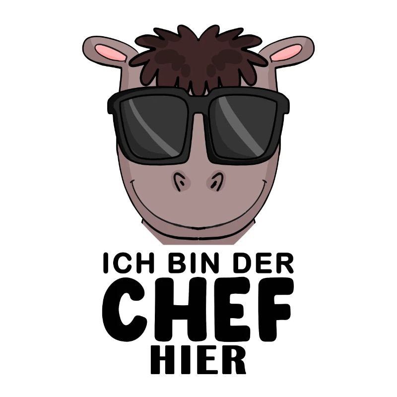 Cool Pferd Chef Spruch