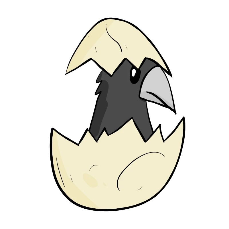 Bébé corbeau
