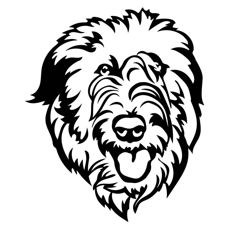 Irish Wolfhound Kopf