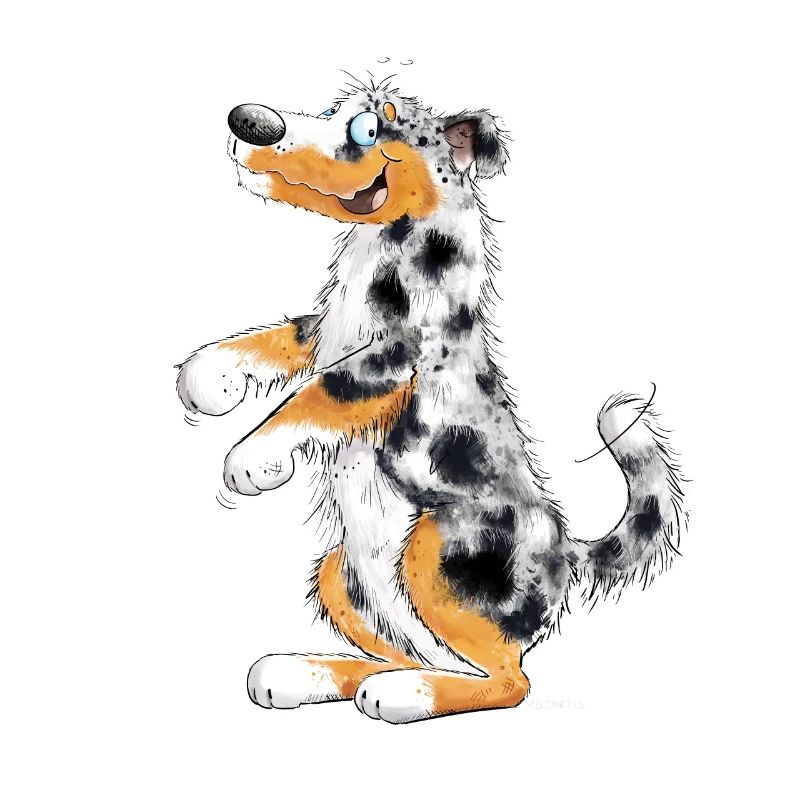 Funny Australian Shepherd
