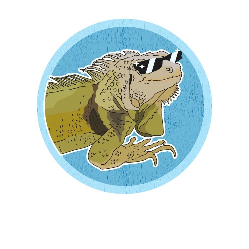 Leguan Eidechse Leguane Geschenke