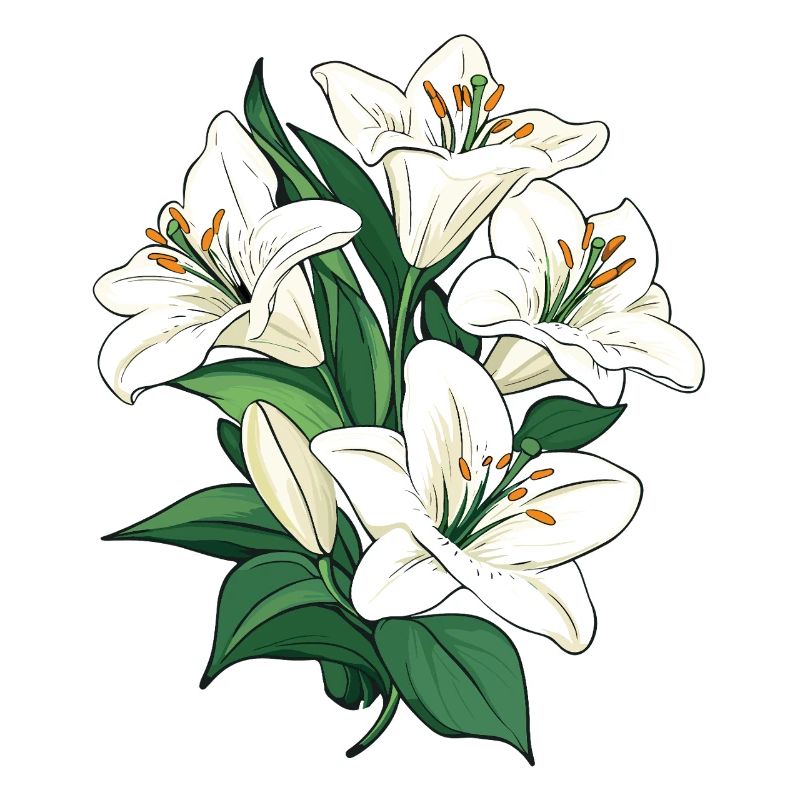 Graphique d’illustration blanc Lys