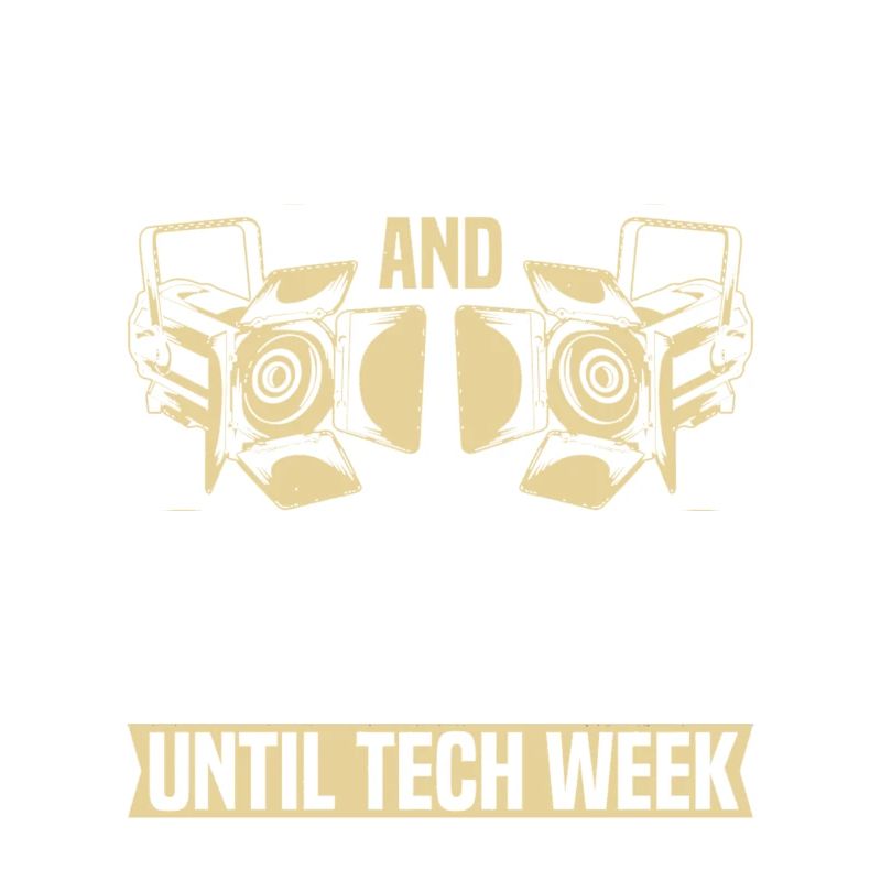 Technicien de théâtre Technicien d’éclairage Technicien d’éclairage