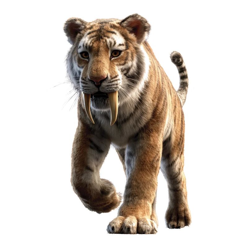 Saber-toothed tiger Smilodon Big cat Sabertooth tiger