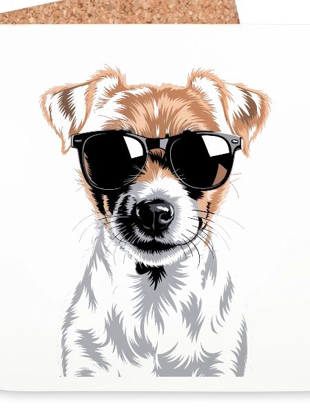 Jack Russell Terrier