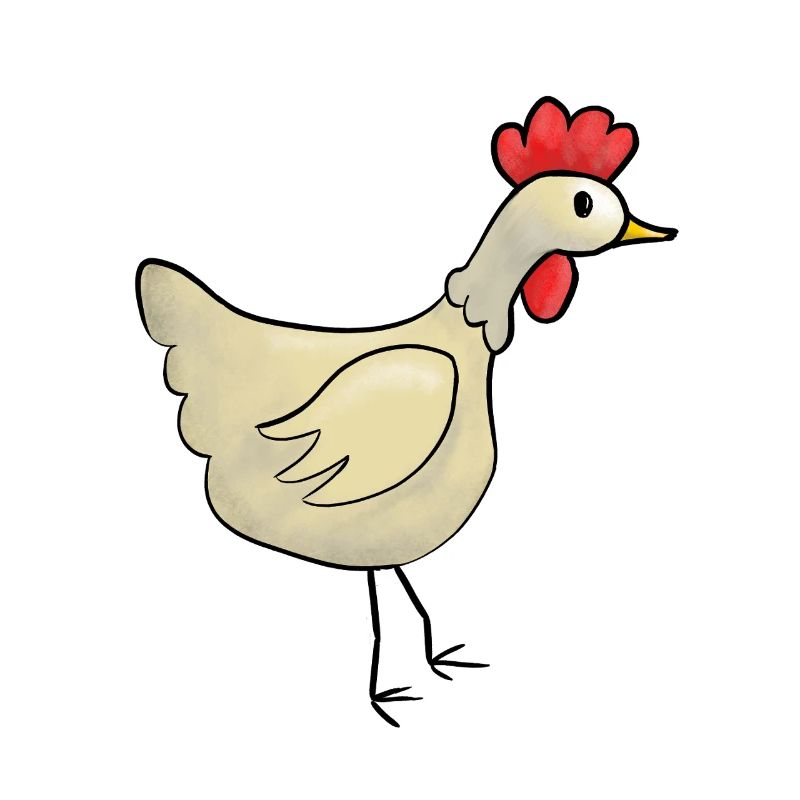 Henne Hühner Huhn Kinder